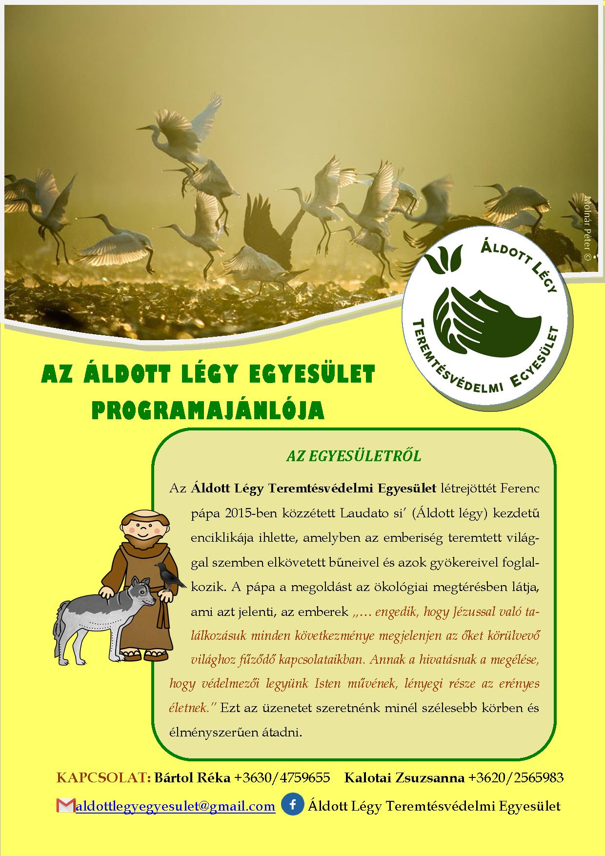 ALTE PROGRAMAJANLO 1